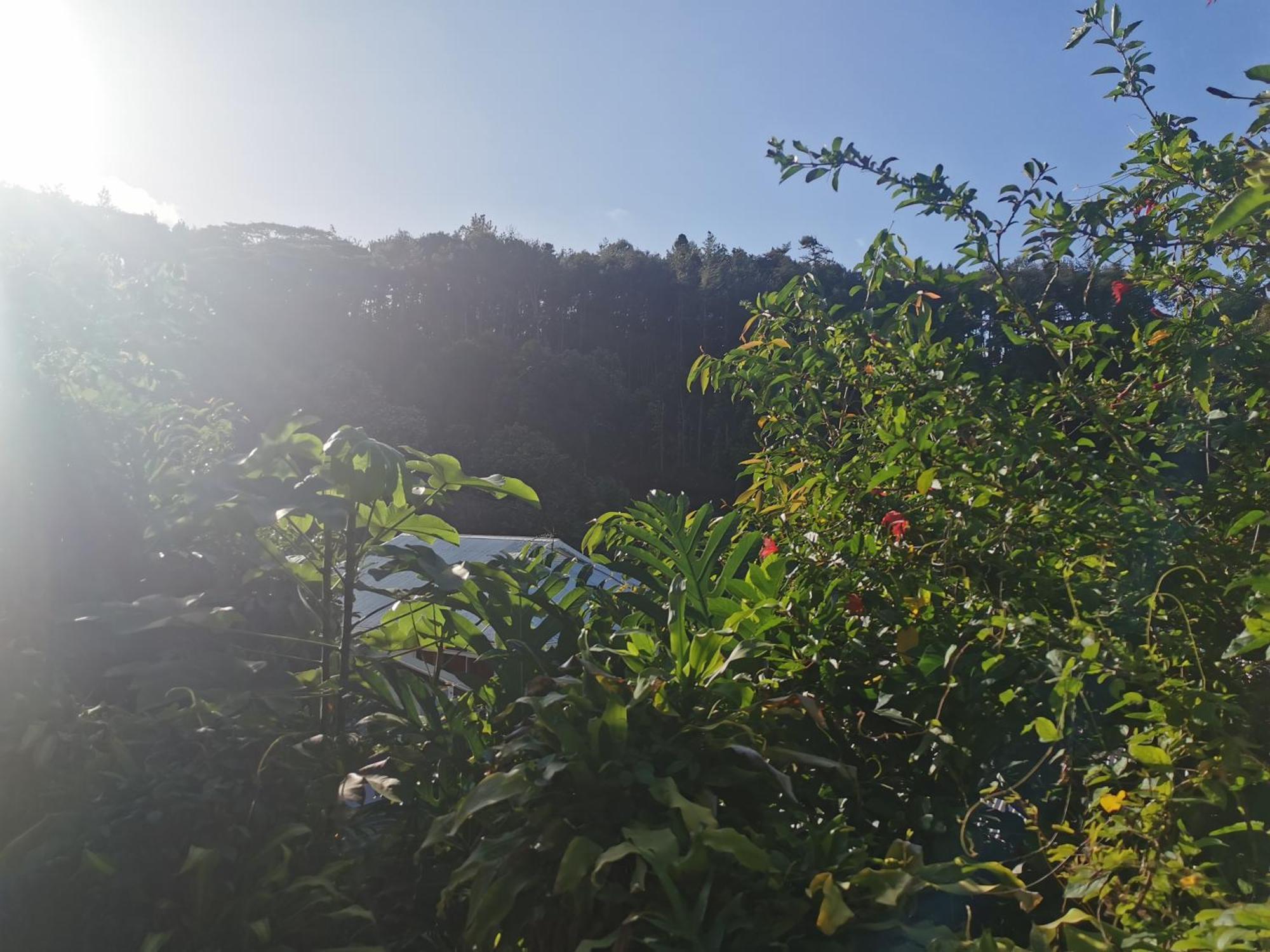 Apartmán Fare Kairos Uturoa Exteriér fotografie