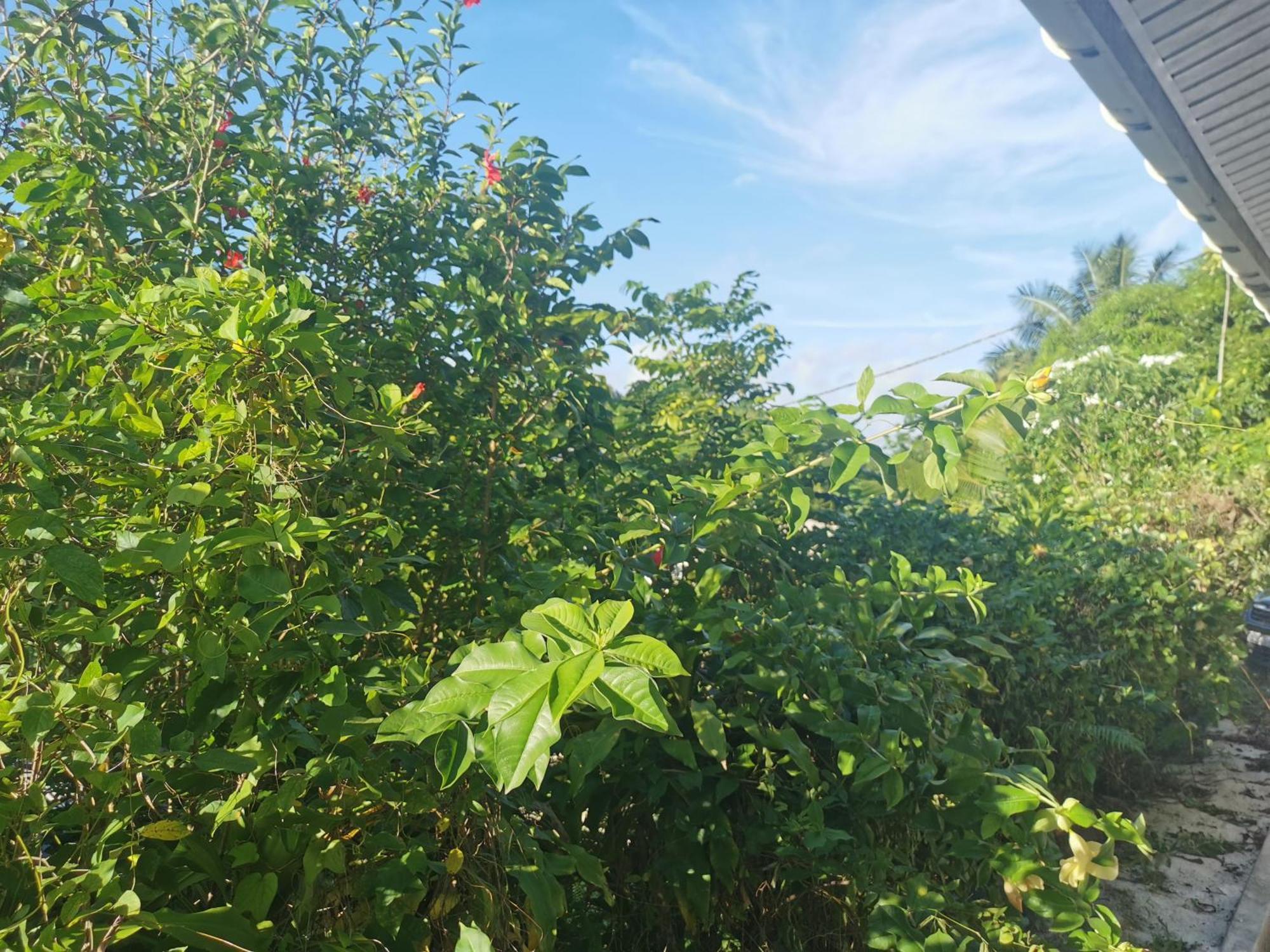 Apartmán Fare Kairos Uturoa Exteriér fotografie